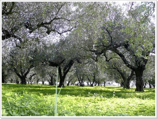 0144_sizilien_2012 (137).jpg